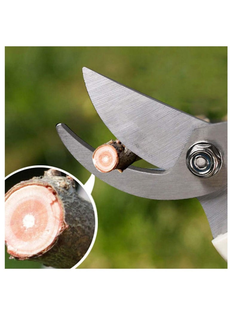 Generic Garden Pruning Shears Set - 2 Pack, 1 Bypass Pruner+1 Straight Blade Scissors, Sharp Garden Shears for Cutting Flowers, Trimming Plants, Bonsai, Fruits Picking  - Image 4