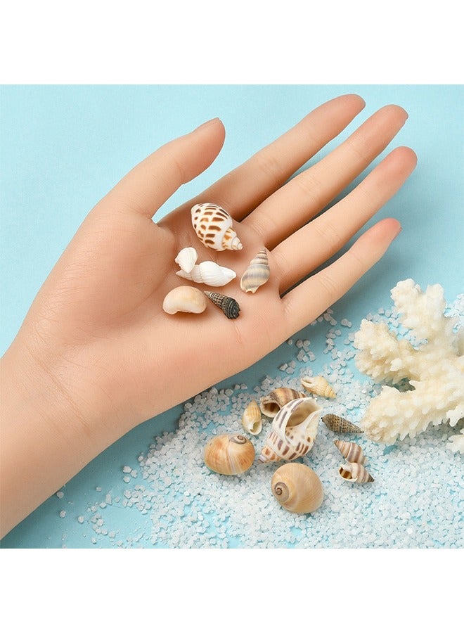 HS 160 PCS Open Back Natural Spiral Shell Beads, Spiral Conch Shells Charms, Beach Seashells Beads, Suitable For DIY Craft Jewelry Making, Home Or Wedding Decoration - Image 5