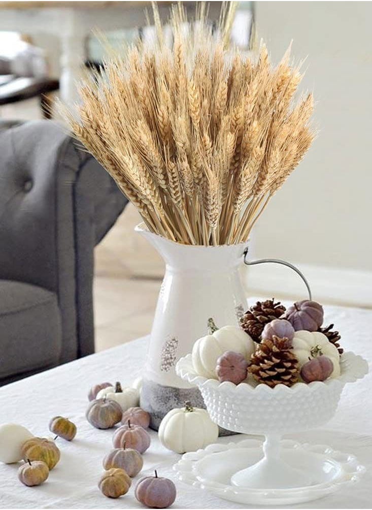 URbazaar 100-Piece Natural Dried Wheat Stalks Grass Bouquet Boho Home Decor Bouquet Dried Wheat Bouquet Bunch Flowers for DIY Wedding Floral Arrangements Home Decorations  - Image 1
