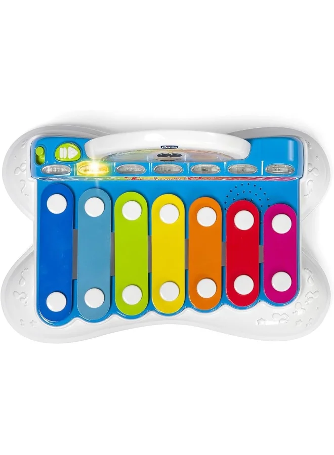 شيكو Flashy The Xylophone 1Y-4Y