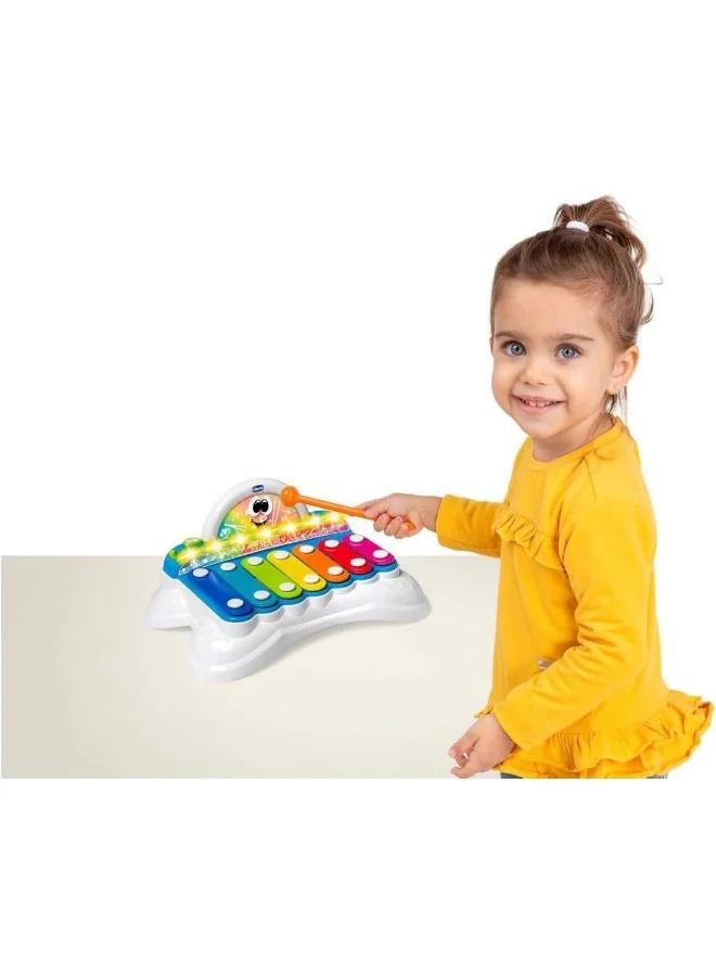 شيكو Flashy The Xylophone 1Y-4Y