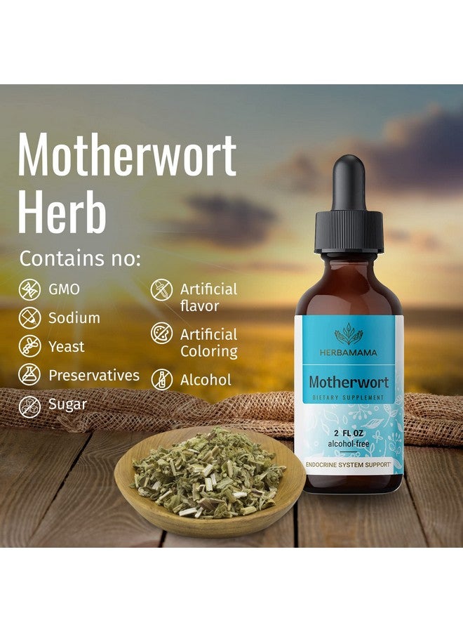 HERBAMAMA Motherwort Tincture Organic Motherwort Herb Liquid Drops Vegan Supplement 2 Fl Oz - Image 5