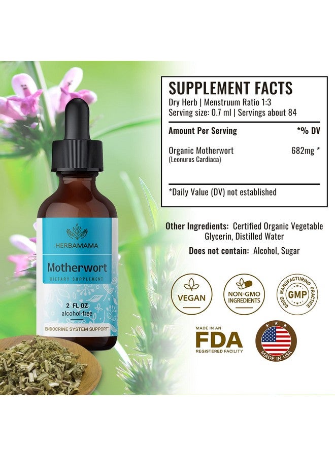 HERBAMAMA Motherwort Tincture Organic Motherwort Herb Liquid Drops Vegan Supplement 2 Fl Oz - Image 3