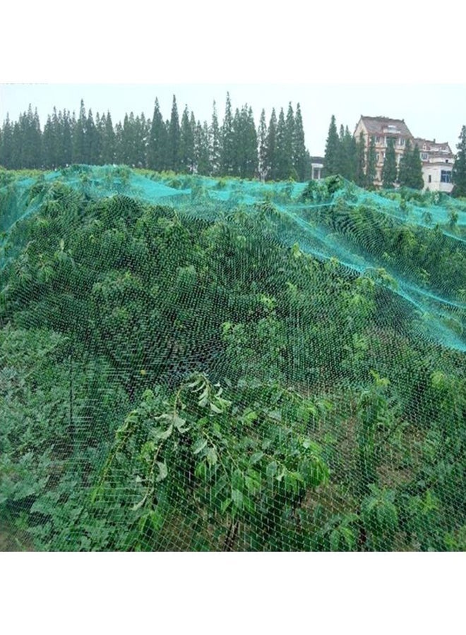 Lynacz Original Anti-Bird Protective Plant Covering Net, Green, 4x10 Meter - Image 2