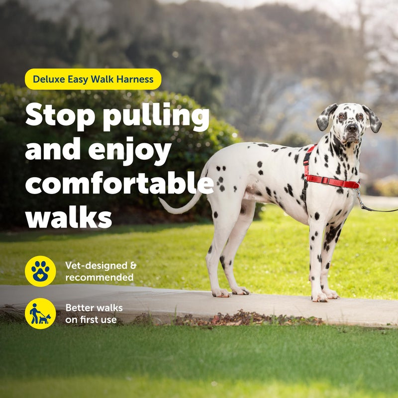 PetSafe Deluxe Easy Walk Harness - Trainer-Trusted Dog Chest Harness with Breathable Martingale Loop Design - Helps Stop Pulling with No Choking & Gagging - Large - Rose - Image 3