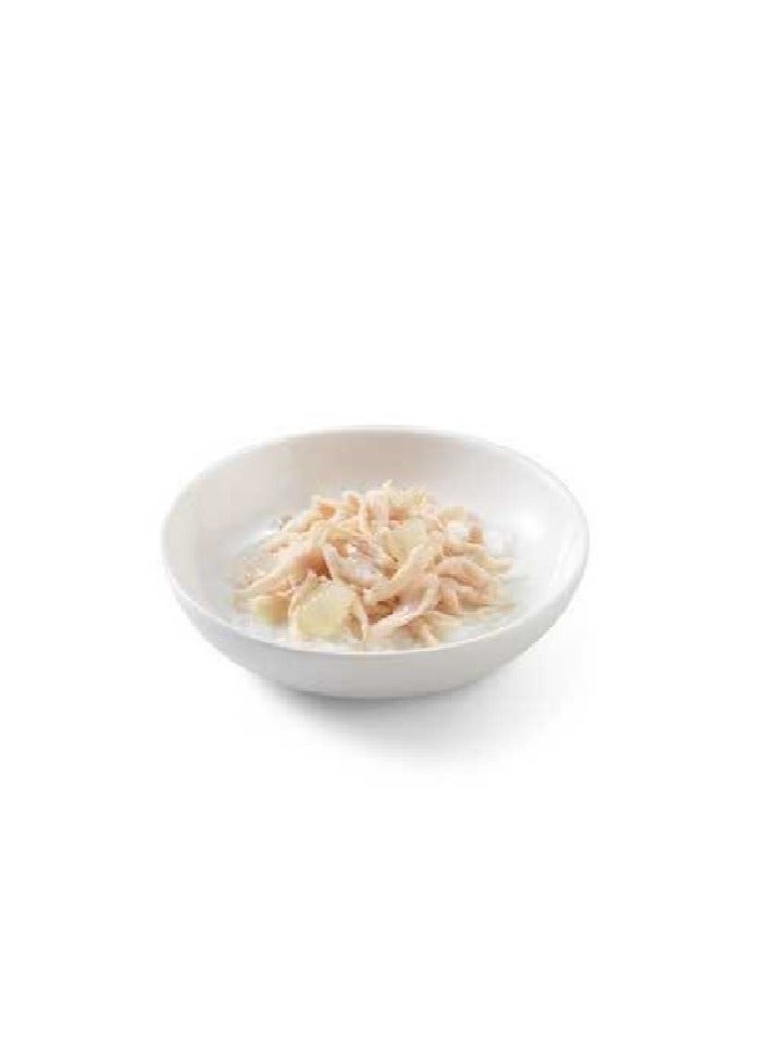 Schesir 14 قطعة طعام رطب للقطط - شرائح دجاج مع الصبار 85 جرام - Image 4