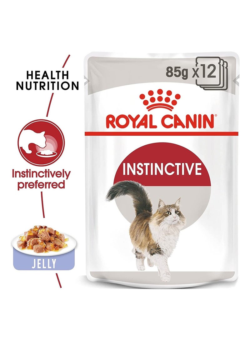 12 Piece Instinctive Jelly 85g