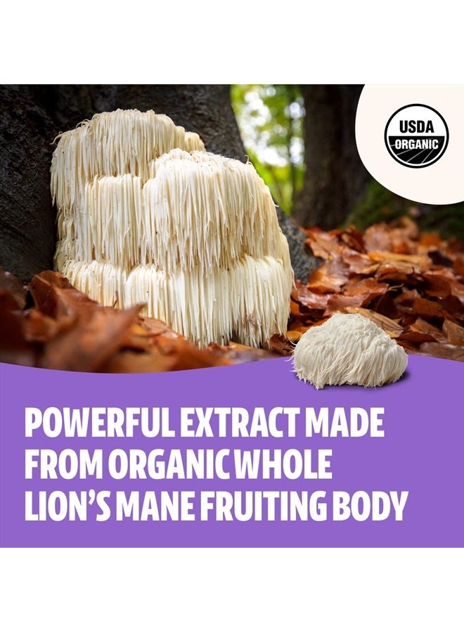 FreshCap Mushrooms FreshCap Lions Mane Supplement Powder 14,000mg - Lions Mane Mushroom, Lions Mane Extract, Lion's Mane Mushroom, Mushroom Supplement for Focus & Memory, Organic Lions Mane Powder (60 Servings) - Image 3