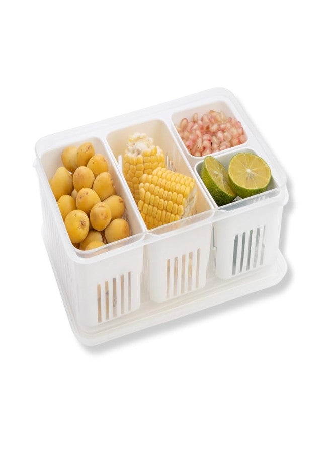 BIRDWING 1 Pic 6 Grid Fridge Storage Boxes Freezer Storage Containers, Container for Kitchen Storage Set, Storage in Kitchen, Vegetable Storage, Draining Crisper Refrigerator Food Box (1 Set) - Image 2
