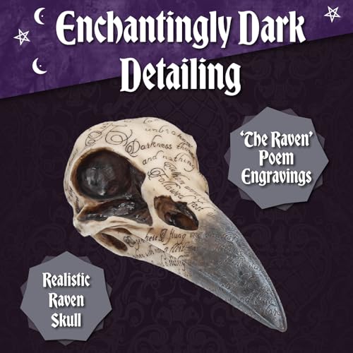 Nemesis Now Edgar's Raven Skull Figurine, Gothic Decor, Hand-Painted Resin, Edgar Allan Poe Themed Ornament with Engraved Poem, 21cm - Image 3