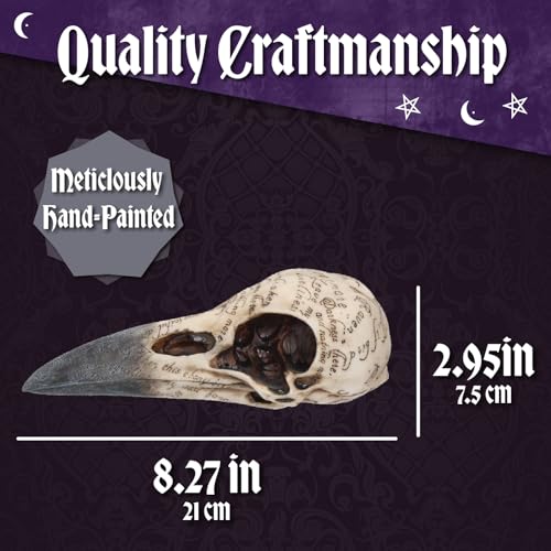 Nemesis Now Edgar's Raven Skull Figurine, Gothic Decor, Hand-Painted Resin, Edgar Allan Poe Themed Ornament with Engraved Poem, 21cm - Image 4