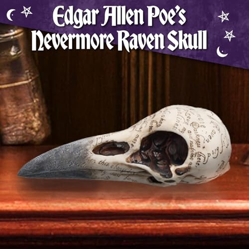 Nemesis Now Edgar's Raven Skull Figurine, Gothic Decor, Hand-Painted Resin, Edgar Allan Poe Themed Ornament with Engraved Poem, 21cm - Image 2