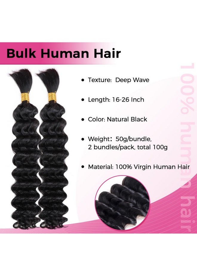 Lashey - Human Braiding Hair Bulk Human Hair For Braiding Deep Wave 100% Virgin Hair Bulk 100G 2 Bundlespack No Weft Human Hair Extensions For Boho Braids Knotless Box Braid Natural Black 16 Inch - Image 1