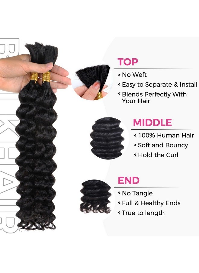 Lashey - Human Braiding Hair Bulk Human Hair For Braiding Deep Wave 100% Virgin Hair Bulk 100G 2 Bundlespack No Weft Human Hair Extensions For Boho Braids Knotless Box Braid Natural Black 16 Inch - Image 1
