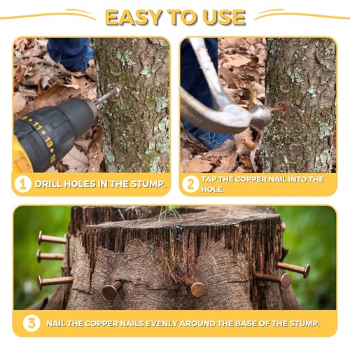 Dubbs Hardware 12-Pack Pure Copper 4-Inch Nail Spikes - Heavy-Duty Tree Stump Root Killer - Eco-Friendly & Chemical-Free Tree Removal - USA-Made Durable Spikes for Landscaping & Gardening - Image 4