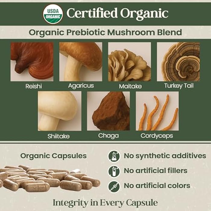 Vital Planet - Organic Flora Probiotics for Gut Health Balance, Shelf Stable Probiotic 30 Billion CFU, 60 Diverse Strains, Prebiotic Organic Mushroom Blend for Immune and Digestive Support 30 Capsules - Image 5