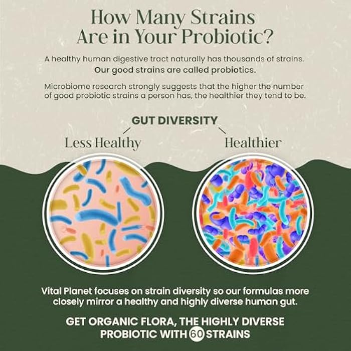 Vital Planet - Organic Flora Probiotics for Gut Health Balance, Shelf Stable Probiotic 30 Billion CFU, 60 Diverse Strains, Prebiotic Organic Mushroom Blend for Immune and Digestive Support 30 Capsules - Image 4