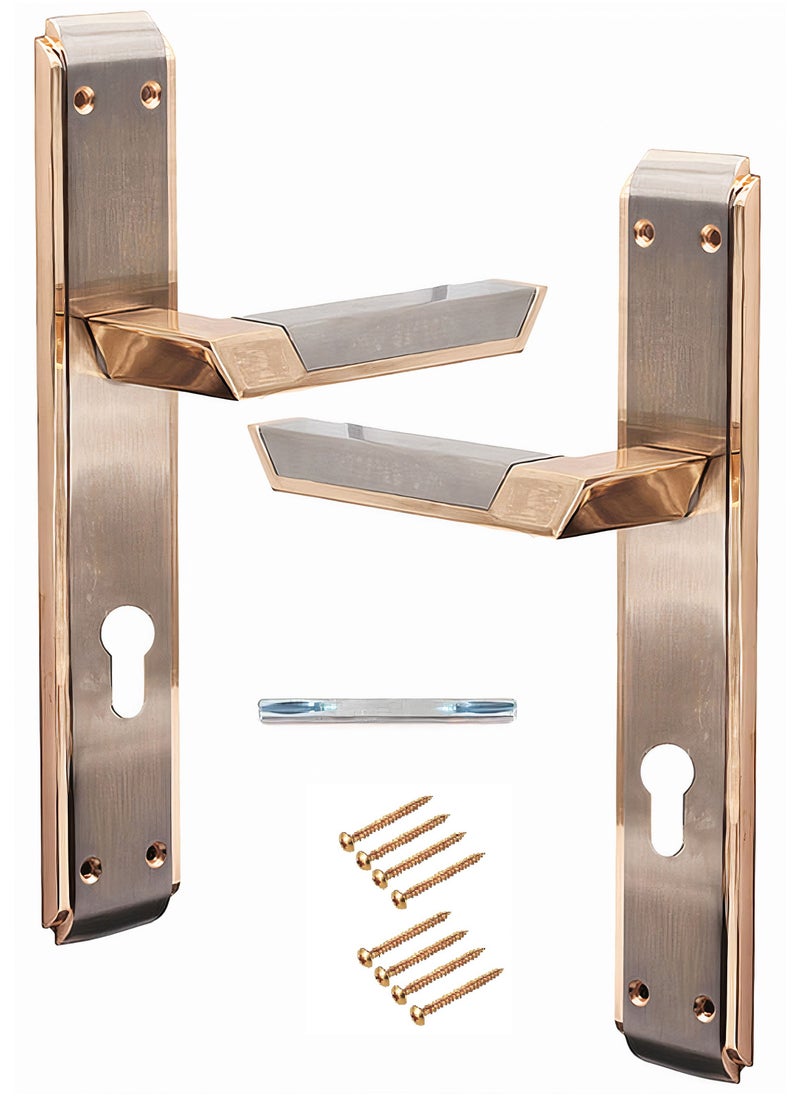 Lozan Pair Of Heavy Duty Door Handles Silver/Golden Colour 
