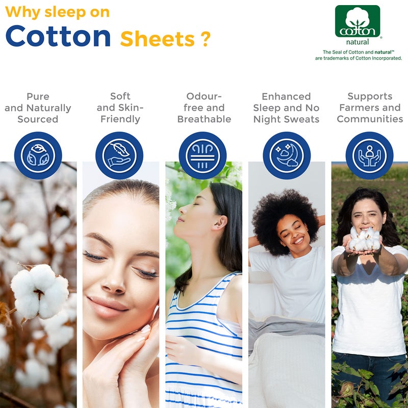 THREAD SPREAD 100% Egyptian Cotton Printed Bed Sheets - 600 Thread Count 4 PC Full Sheet Set  Hotel Luxury Sateen Bedsheets  16"" Deep Pocket Soft Cooling Sheets for Full Size Bed - Dotted Stripe - Image 5
