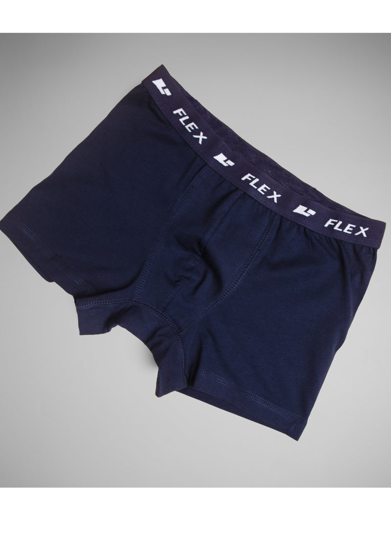 فليكس بوكسر