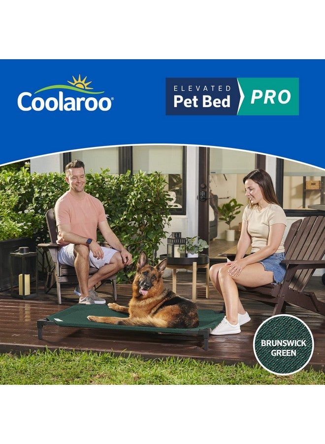 كولارو سرير تبريد مرتفع للكلاب من COOLAROO PRO، قياسي، يناسب قفصًا مقاس 48 بوصة، إطار تجميع سهل، لون أخضر برونزويك. - Image 5