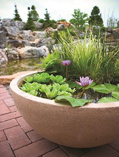 Aquascape 40004 Container Water Garden and Pond Maintenance Treatment 36 Tabs white - Image 4