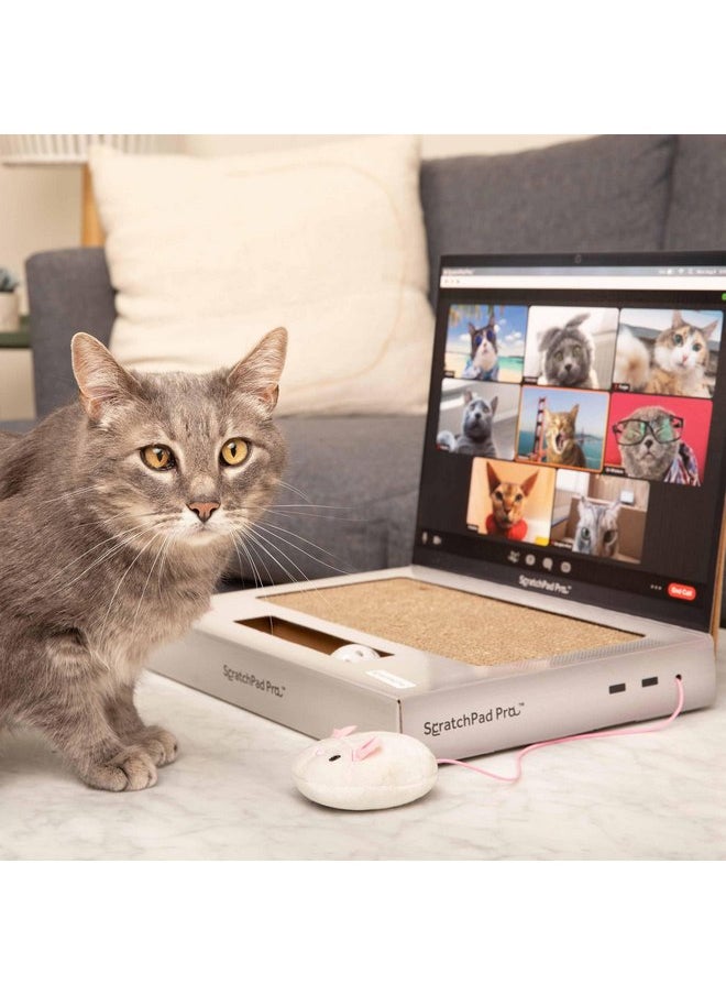 WHAT DO YOU MEME? - ScratchPad Pro - Cardboard Laptop Cat Scratcher, Great Idea for Pet Owners, Interactive Cat Toys for Indoor Cats, Kitten Supplies and Cat Stuff - Image 1