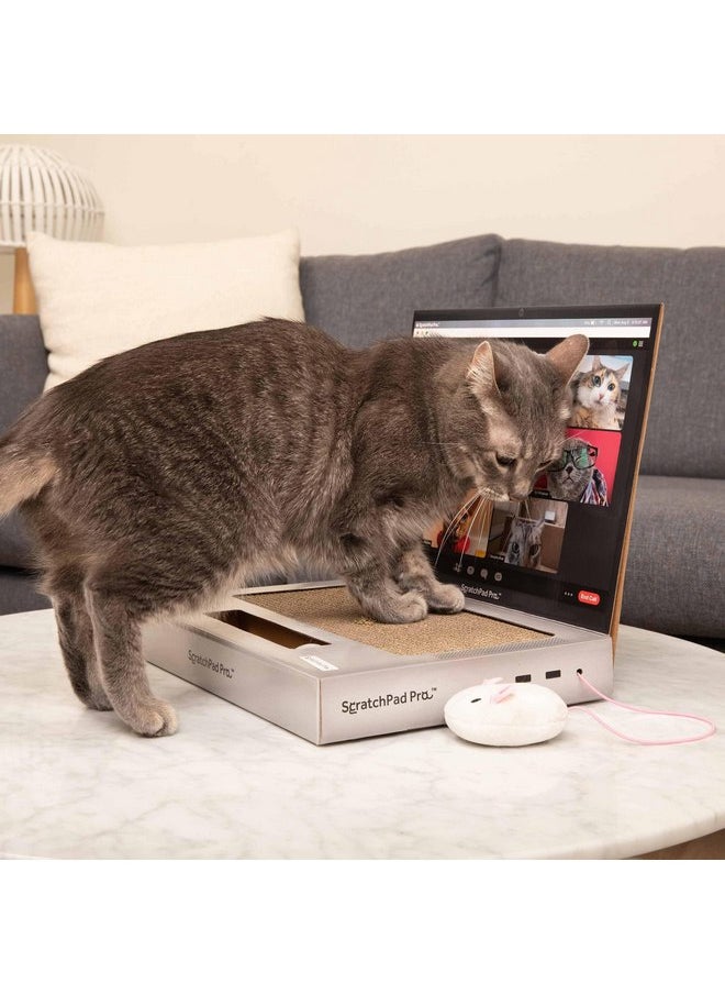 WHAT DO YOU MEME? - ScratchPad Pro - Cardboard Laptop Cat Scratcher, Great Idea for Pet Owners, Interactive Cat Toys for Indoor Cats, Kitten Supplies and Cat Stuff - Image 1