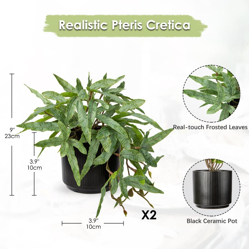 Briful Faux Plants Indoor 9'' Artificial Potted House Plant with Black Ceramic Pot Fake Pteris Cretica Fern Plant for Home Office Room Desk Shelf Decor Indoor - Image 2