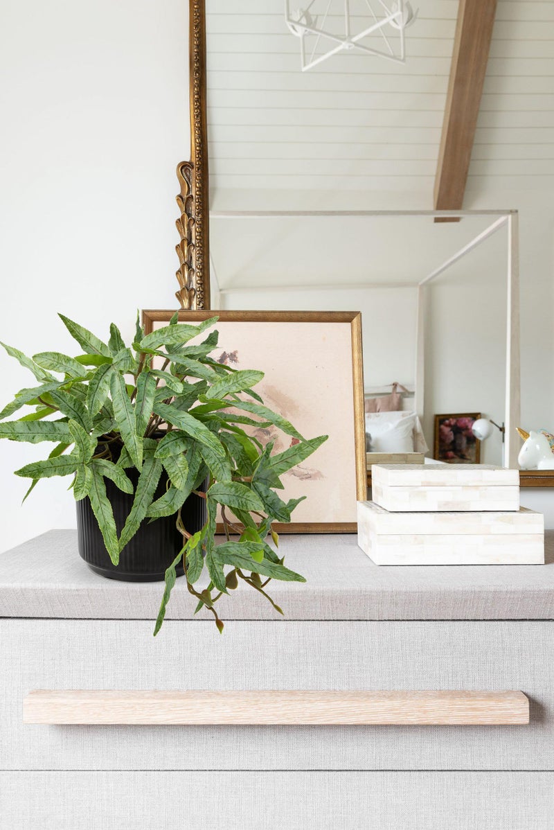 Briful Faux Plants Indoor 9'' Artificial Potted House Plant with Black Ceramic Pot Fake Pteris Cretica Fern Plant for Home Office Room Desk Shelf Decor Indoor - Image 5