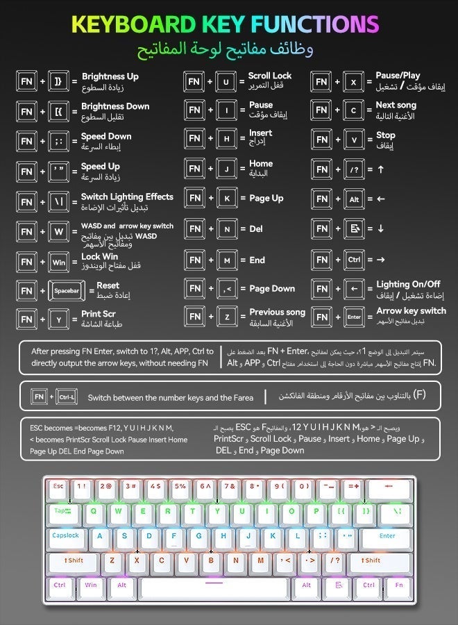 تي- وولف لوحة مفاتيح ميكانيكية T60 RGB - مفتاح أزرق، كابل Type-C، قابلة للتبديل السريع، محمولة للكمبيوتر/ماك - Image 3