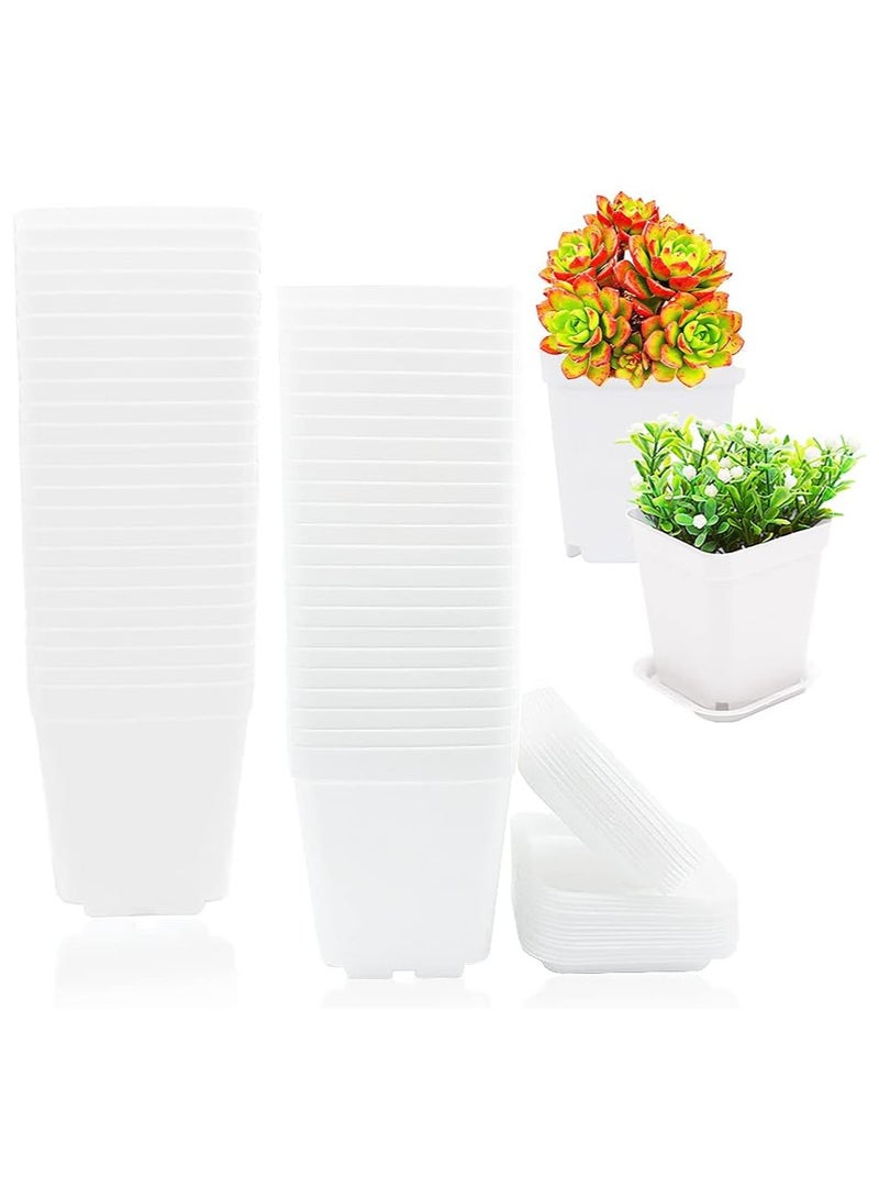 50 PCS Seed Starting Pots, 7cm Plastic Nursery Pots Square Plant Pots Fruit Plant Pots Flower Plant Containers Seedling Containers Cutting Transplant Pots Gardening Supplies for Fruit Vegetable Plant (White)