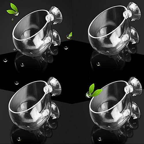 capetsma 4X Crystal Glass Aquarium Plant Pot, Aquarium Aquatic Planter, Red Shrimp Live Plants Fish Tank Glass Holder with 4X Suction Cups for Aquarium Fish Tank Decorations … (4 Pack)… - Image 1