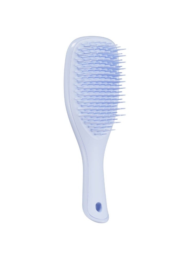 تانجل تيزر فرشاة الشعر Tangle Teezer The Ultimate Detangler لفك تشابك الشعر للحصول على شعر منعش أثناء الاستحمام، صغيرة رقمية، لون لافندر، إصدار محدود، وحدة واحدة - Image 1