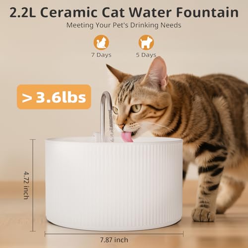 Waatoos Ceramic Cat Water Fountain, 2.2L/74oz Cupcake Pet Water Fountain for Cats and Dogs, Automatic Pet Drinking Fountain,Double Filtration System, Easy to Clean (White) - Image 2