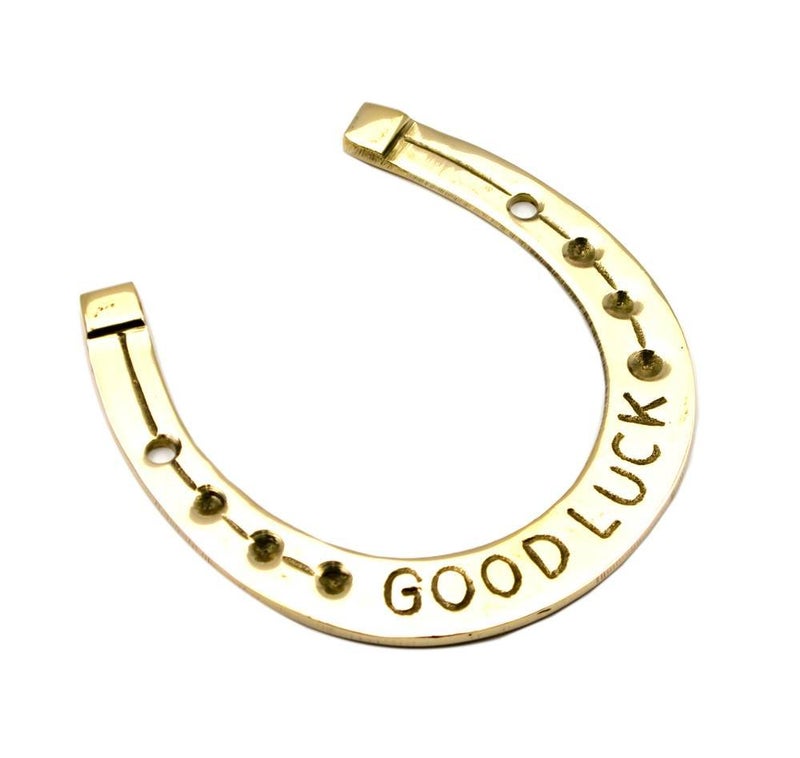 Skywalk Car Carpet Cleaning Dusting Brush + Free 1 Brass Horse Shoe naal for Good Luck - Image 4
