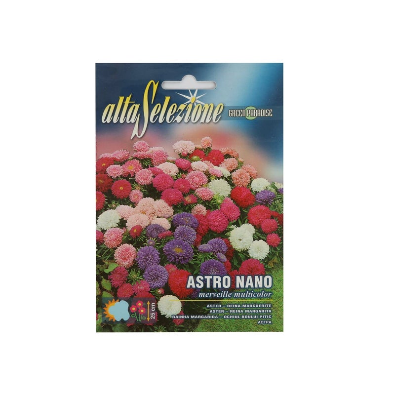 Alta Dwarf Aster Merveille Mixed Seeds