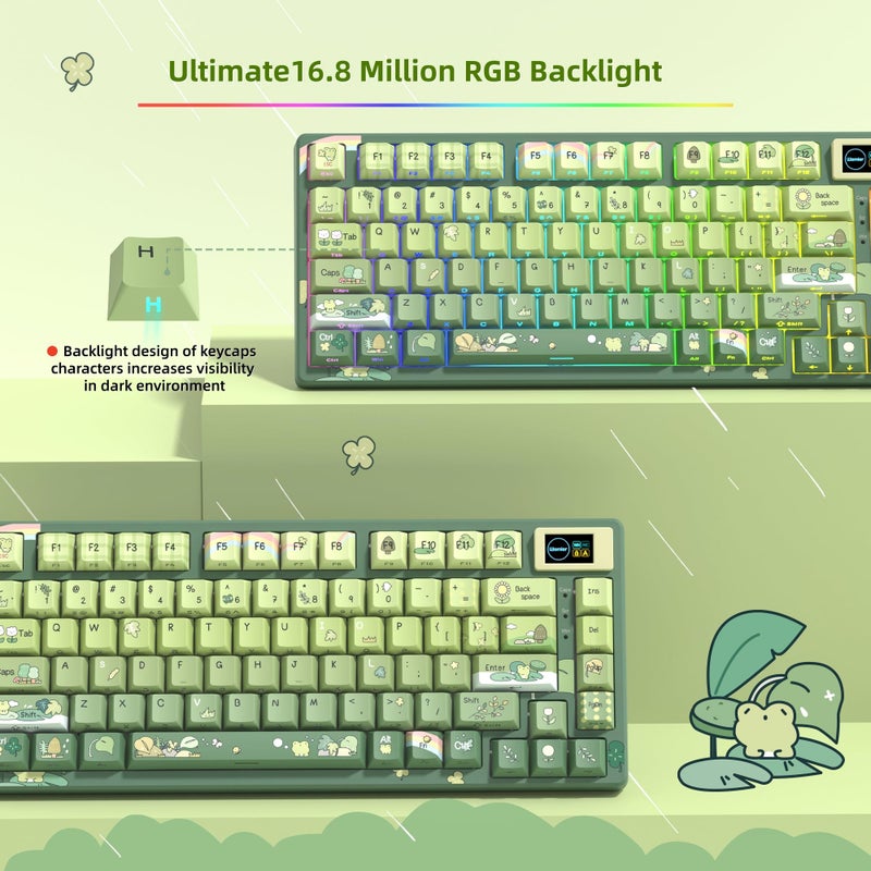 Womier SK80 75% Keyboard with Color Multimedia Display Mechanical Gaming Keyboard Cute Green Frog Wired Hot Swappable Gasket Mount RGB Custom Key Board, Pre-lubed Stabilizer for Mac/Win, Green - Image 5