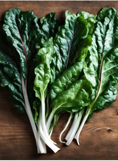 GROW Fordhook Giant Swiss Chard  - Image 2