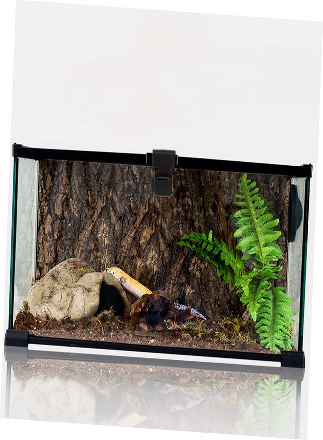 FONDOTIN Turtle Terrarium Buckle Anti-Escape Lock for Reptile Feeding Tank Secure Reptile Tank Lid Locks for Amphibious and Rainforest Habitats Easy Install Buckle Clips Set of 4 - Image 3