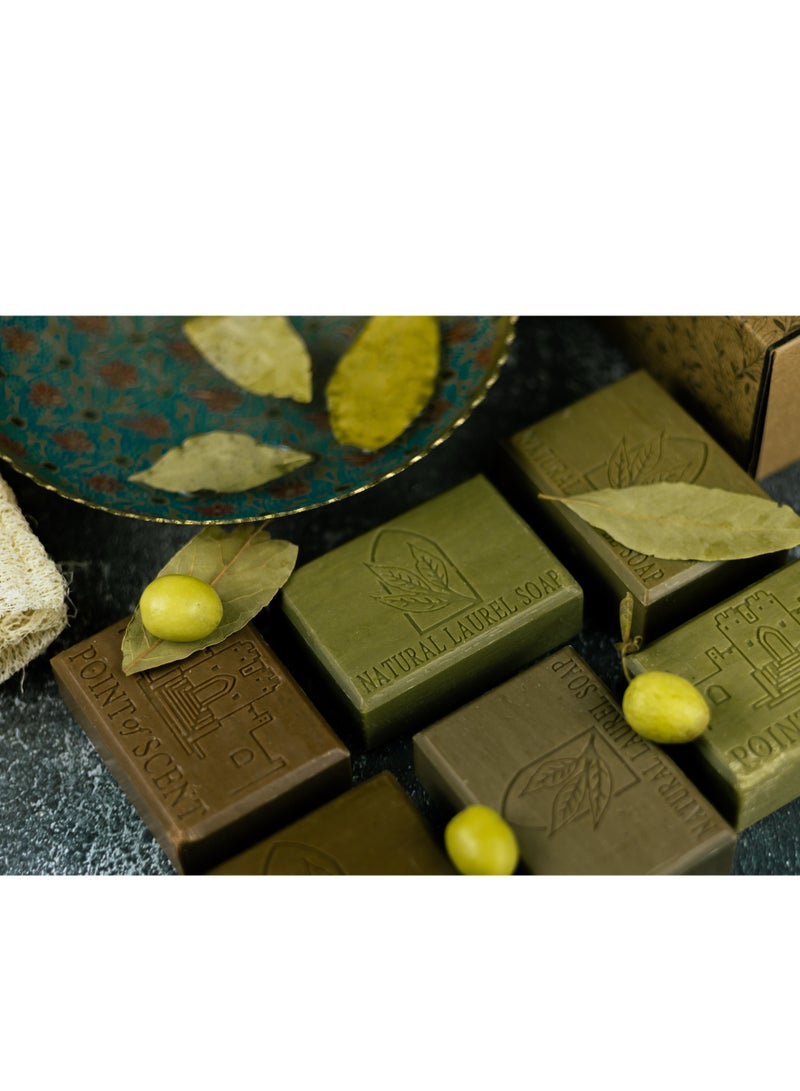 POINT of SCENT Scented natural Laurel soap 6X125GR (Amber Oud, Laurel, Saffron, Royal Incense, Musk Rose, Pine) - Image 2