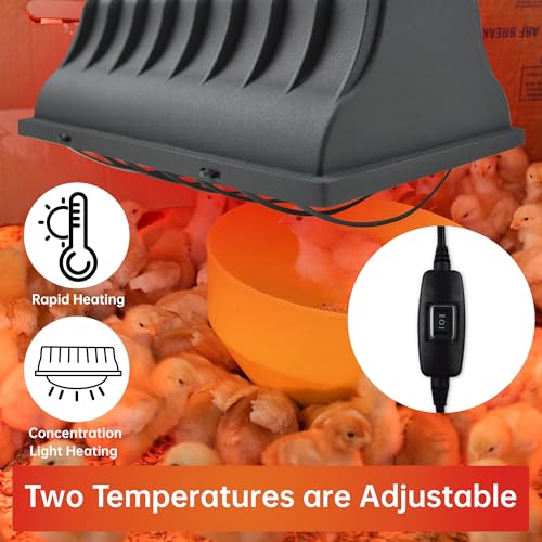 JUSONEY Chicken Coop Heater for ChicksBrooder Heater with 2pcs Heat Lamp250W and 175WAdjustable Temp Height Chicken Brooder Box Supplies for Chicken Livestock Dogs Sheep Pets - Image 3