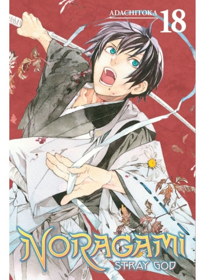 Noragami Stray God 18 - Paperback