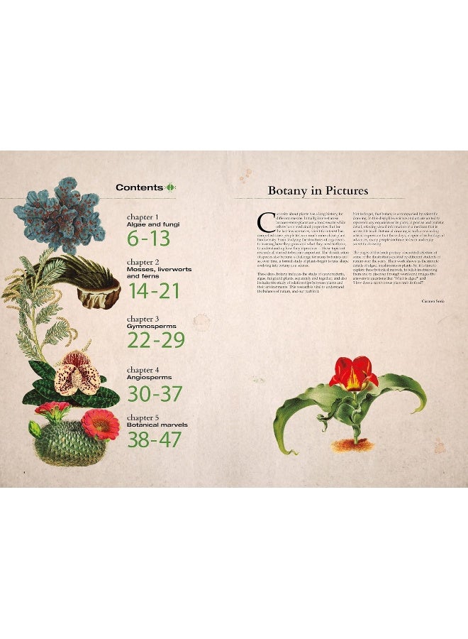 Illustrated Botany: The Virtual Plant Museum - Image 2