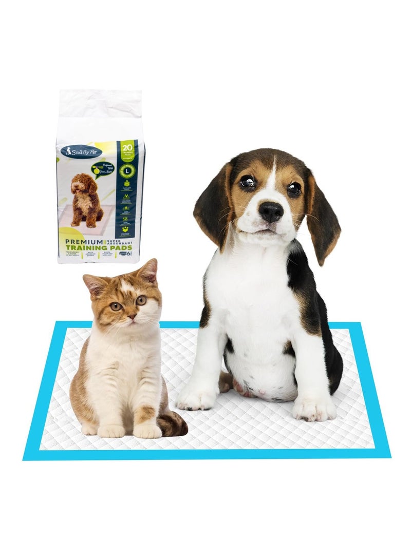 بي إل وسادات تدريب الحيوانات الأليفة من سمارتي - صغيرة (50 قطعة / 60 × 45 سم) - 5 طبقات، برائحة التفاح المنعش، تصميم مانع للانزلاق - Image 4