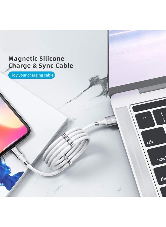 AICase Magnetic Charging Cable,(6.6FT) Super Organized Charging Magnetic Absorption Nano Data Cable for Phone i 13/13Pro/Pro Max/12/12 Pro/Pro Max/11/XS/XS Max/XR/X/8/8 Plus/7 Plus/6s/6 Plus/SE/Pad/Pod ect - Image 5