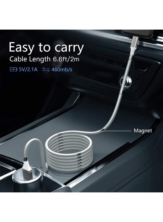 AICase Magnetic Charging Cable,(6.6FT) Super Organized Charging Magnetic Absorption Nano Data Cable for Phone i 13/13Pro/Pro Max/12/12 Pro/Pro Max/11/XS/XS Max/XR/X/8/8 Plus/7 Plus/6s/6 Plus/SE/Pad/Pod ect - Image 4