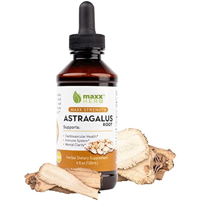 Maxx Herb Astragalus Root Extract - Max Strength Liquid Tincture Absorbs Better Than Capsules or Powder, for Immune Support and Mental Clarity - 4 Oz Bottle (60 Servings) - Image 1
