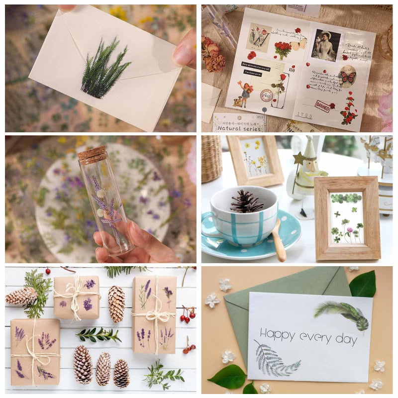 LoveBB 42 Sheets (600Pcs) Natural Flower Stickers for Scrapbooking, Floral Resin Stickers Decals Botanical Journaling Sticker for Junk Journal Bullet Planner Scrapbook Supplies - Image 5
