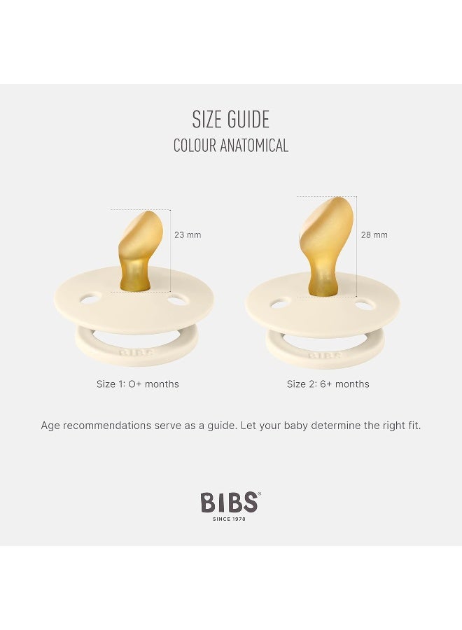 BIBS لهاية بيبس الملونة الأناتومية 2-عبوة، مصاصة خالية من BPA، مطاط طبيعي قويم الأسنان، مصنوعة في الدنمارك. 0-6 أشهر (عبوة من 2)، توهج بلش/توهج فانيلا - Image 2